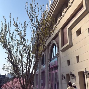 半岛体育入口-家人来华，斯坦丘妻子分享在大连的照片